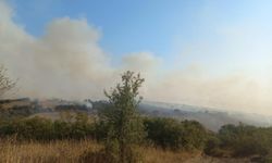 Balıkesir'de arazi yangını