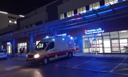 Sığındığı ağaca yıldırım düşen çiftçi hayatını kaybetti