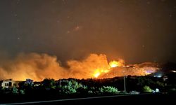 Alanya’da orman yangını çıktı