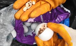 Sürpriz yumurtalardan uyuşturucu çıktı