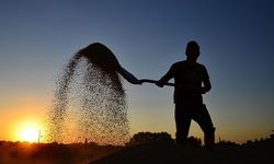 Tarımsal destekleme ödemesi bugün hesaplara aktarılacak