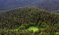 Milli parklara yönelik düzenlemeler içeren kanun Resmi Gazete'de