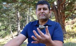 Mantar toplarken buldu! Taş diye aldı, göktaşı çıktı...