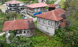 Kestane ağacından yapılan tescilli evler Arılı köyüne ziyaretçi çekiyor