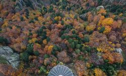 Uzmanı uyardı! "Sonbahar mutluluk hormonu üretimini azaltır"