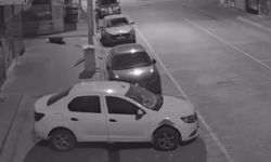 Vahşi cinayetin detayları kan dondurdu! Katiline konum atmış