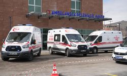 Niğde'de 11 kişi zehirli ot nedeniyle zehirlendi