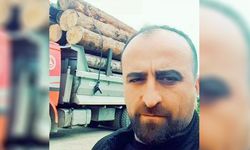 Artvin’de feci ölüm: Üzerine ağaç devrilen kişi hayatını kaybetti