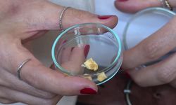 Balık kılçığı yüksek kaliteli kolajene dönüştürüldü