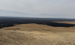 Hakkari'deki Nehil Sazlığı'nda 7 Kasım'da çıkan yangın söndürüldü