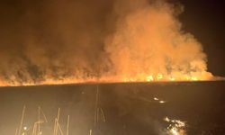 Hakkari'deki Nehil Sazlığı'nda yangın