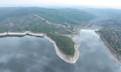 Türkiye'de 2024'te su kaynaklarından 20,3 milyar metreküp su çekildi