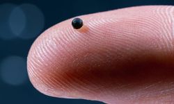 Damarlarda ilerleyerek belirli dokulara ilaç ulaştırabilen mikro robotlar test edildi