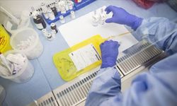 Yeni bir hastalık keşfedildi! Yalnızca 13 kişi de görüldü...