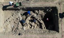 Van'daki 5 bin yıllık karbonlaşmış arpa taneleri bulundu