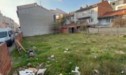 Eskişehir'de boş arsada 8 ölü kedi bulundu