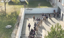 Ankara'da tefecilere operasyon: 20 şüpheli tutuklandı