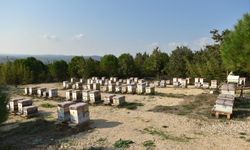 Kilosu 20 bin liraya kadar çıkıyor! Yılda 10 ton üretiliyor, 100 ton sahtesi satılıyor