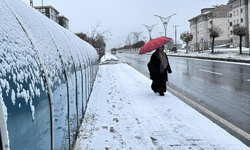 Bitlis'te eğitime bir gün ara verildi