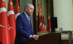 Cumhurbaşkanı Erdoğan: Türk diasporası ayakta kalmayı, her alanda söz ve irade sahibi olmayı başarmıştır