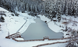 Gelinliğini giyen Deresökü Orman Parkı'nda görsel şölen oluştu