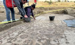 Hatay'da Geç Antik Çağ'a ait mozaik bulundu