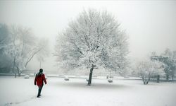 Meteoroloji illeri tek tek açıkladı! Birçok kente kuvvetli kar yağışı geliyor