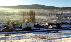 Kars, Ardahan ve Erzurum'da sulak alanları buz kapladı