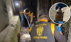 Kavanozdan çıkanlar polisi şoke etti! Toprağa gömülü halde bulundu...