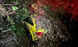 Mersin'de seyir halindeki taksinin üzerine ağaç devrildi