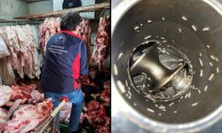 Mide bulandıran manzara! Kıyma makinesinde kurt çıktı...