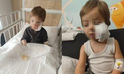 Pitbull cinsi köpeğin saldırısına uğrayan çocuk taburcu oldu