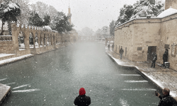Şanlıurfa'daki tarihi Balıklıgöl beyaza büründü