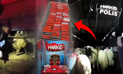 Siirt’te akılalmaz olay: Uyuşturucuyu hayvanların karın boşluklarının içine gizlemişler