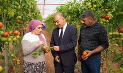 ŞOK Marketler’de yeni dönem! Meyve-sebzede pestisit kontrol süreci bir adım ileri taşındı