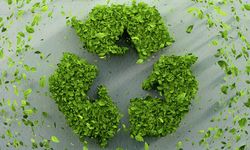 Türkiye çevre duyarlılığında küresel liderliğe yürüyor