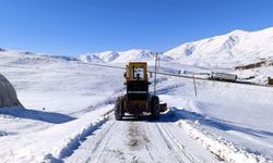 Van ve Bitlis’te kar engeli: 70 yol ulaşıma kapalı