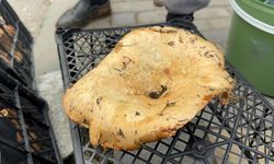 Yağmur yağdı, fiyatı 100 liraya düştü! Faydaları saymakla bitmiyor...