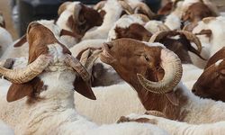 2026 Kurban Bayramı ne zaman? Kurban Bayramı tatili kaç gün olacak?