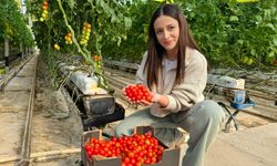 Eksi 25 derecede üretiliyor, Avrupa sofralarına gidiyor!