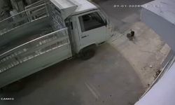 Adana’da kedi ezen sürücüye ‘barınakta çalışma’ cezası