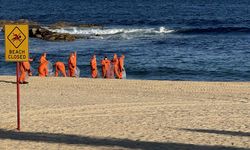 Avustralya'nın Sydney kentinde köpek balıkları 2 çocuğa saldırdı