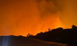 Antalya'da ormanlık alanda yangın çıktı