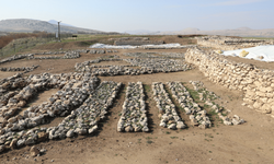 Çayönü Tepesi'nde yaşayan insanların genetik haritası çıkarılıyor