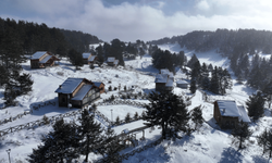 Çam ormanlarıyla çevrili Dumanlı Tabiat Parkı ziyaretçilerini bekliyor