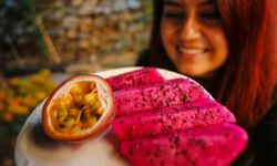 Tescillenen 8 tropikal meyve çeşidi tarım ekonomisine kazandırıldı