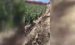 Göksu Nehri'ne atık su deşarj eden işletmeye 1 milyon 337 bin lira para cezası