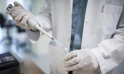 Kanser tedavisinde umut veren gelişme! Farelerde tümör yok edildi...