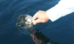 Karadeniz'de petrol heyecanı! Analizler olumlu çıktı...