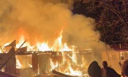 Samsun'da iki ev alevlere teslim oldu